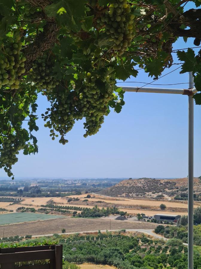 Arodafni House. Unique Views And Amazing Sunsets. Kouklia Esterno foto