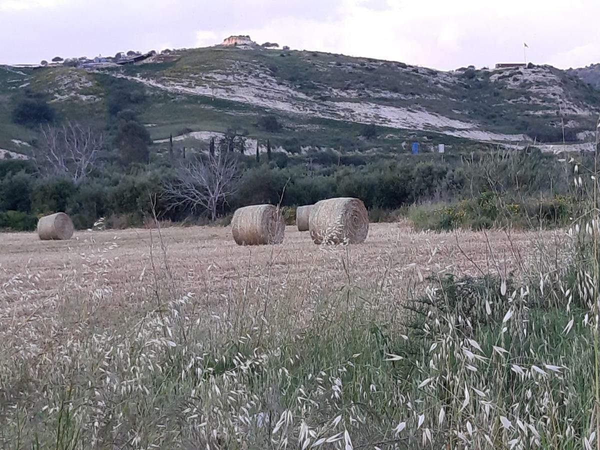 Arodafni House. Unique Views And Amazing Sunsets. Kouklia Esterno foto